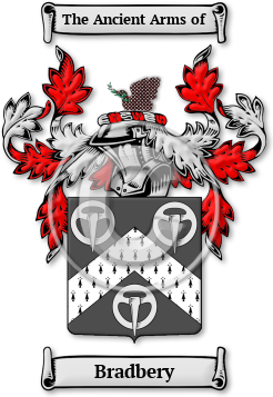Bradbery Family Crest Download (jpg) Legacy Series - 150 DPI