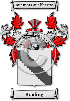 Brading Family Crest Download (jpg) Legacy Series - 150 DPI