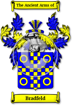 Bradfeld Family Crest Download (JPG) Legacy Series - 600 DPI