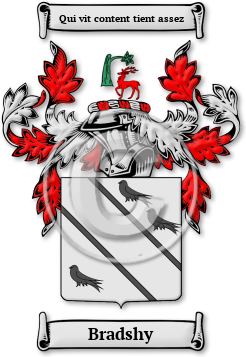 Bradshy Family Crest Download (jpg) Legacy Series - 150 DPI