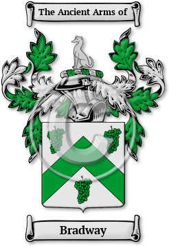 Bradway Family Crest Download (jpg) Legacy Series - 150 DPI