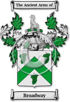 Broadway Family Crest Download (jpg) Legacy Series - 150 DPI