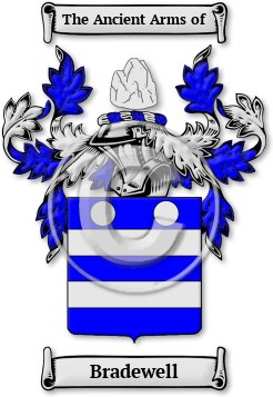 Bradewell Family Crest Download (JPG) Legacy Series - 600 DPI
