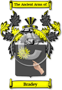 Bradey Family Crest Download (JPG) Legacy Series - 300 DPI