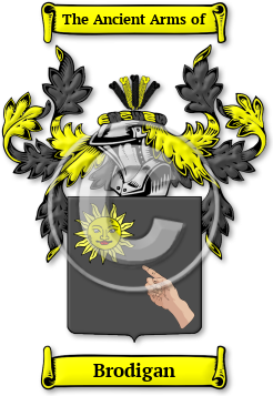 Brodigan Family Crest Download (jpg) Legacy Series - 150 DPI