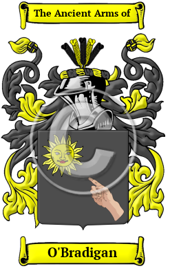 O'Bradigan Family Crest Download (JPG) Heritage Series - 300 DPI