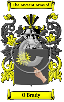 O'Brady Family Crest/Coat of Arms