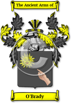 O'Brady Family Crest Download (jpg) Legacy Series - 150 DPI