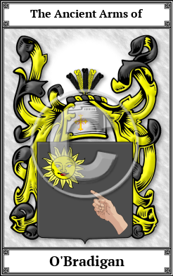 O'Bradigan Family Crest Download (JPG)  Book Plated - 150 DPI