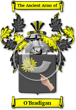 O'Bradigan Family Crest Download (jpg) Legacy Series - 150 DPI