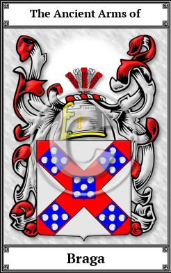 Braga Family Crest Download (JPG)  Book Plated - 150 DPI