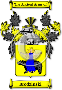 Brodzinski Family Crest Download (jpg) Legacy Series - 150 DPI