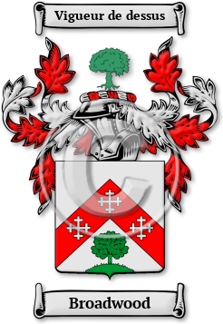 Broadwood Family Crest Download (jpg) Legacy Series - 150 DPI