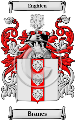 Branes Family Crest Download (JPG) Heritage Series - 600 DPI