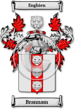 Brannam Family Crest Download (JPG) Legacy Series - 600 DPI