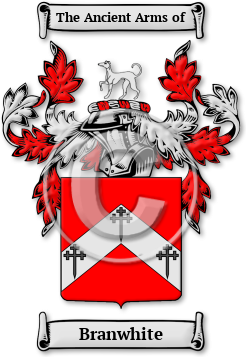 Branwhite Family Crest Download (JPG) Legacy Series - 600 DPI
