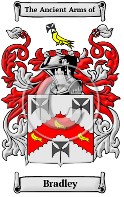 Bradley Family Crest Download (JPG) Heritage Series - 600 DPI