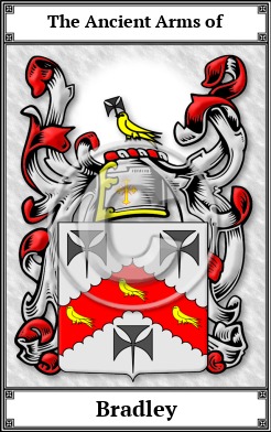 Bradley Family Crest Download (JPG)  Book Plated - 150 DPI