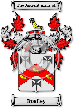 Bradley Family Crest Download (jpg) Legacy Series - 150 DPI