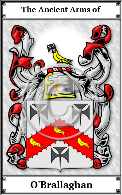 O'Brallaghan Family Crest Download (JPG)  Book Plated - 150 DPI