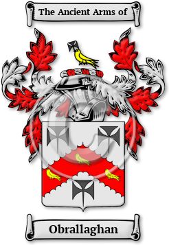 Obrallaghan Family Crest Download (jpg) Legacy Series - 150 DPI