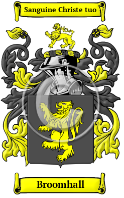 Broomhall Family Crest/Coat of Arms
