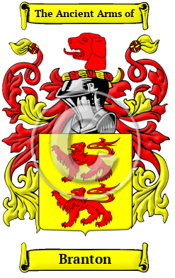 Branton Family Crest/Coat of Arms