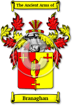 Branaghan Family Crest Download (jpg) Legacy Series - 150 DPI