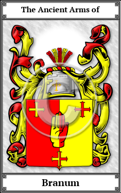 Branum Family Crest Download (JPG) Book Plated - 600 DPI