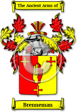 Brenneman Family Crest Download (JPG) Legacy Series - 300 DPI