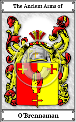 O'Brennaman Family Crest Download (JPG)  Book Plated - 150 DPI
