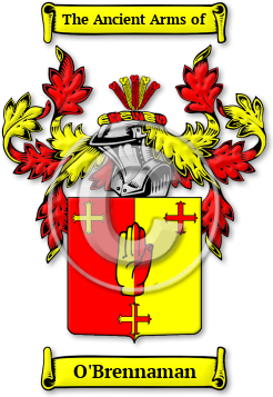O'Brennaman Family Crest Download (jpg) Legacy Series - 150 DPI