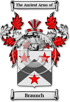 Braunch Family Crest Download (jpg) Legacy Series - 150 DPI