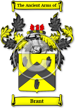 Brant Family Crest Download (jpg) Legacy Series - 150 DPI