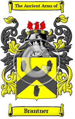 Brantner Family Crest Download (JPG) Heritage Series - 600 DPI
