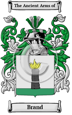 Brand Family Crest Download (JPG) Heritage Series - 600 DPI