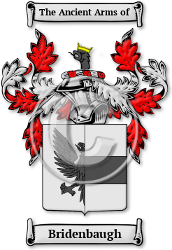 Bridenbaugh Family Crest Download (jpg) Legacy Series - 150 DPI