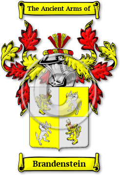 Brandenstein Family Crest Download (jpg) Legacy Series - 150 DPI
