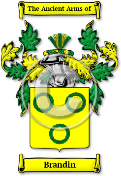 Brandin Family Crest Download (jpg) Legacy Series - 150 DPI