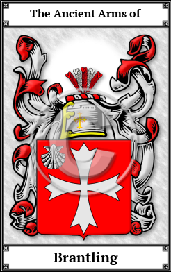 Brantling Family Crest Download (JPG) Book Plated - 600 DPI
