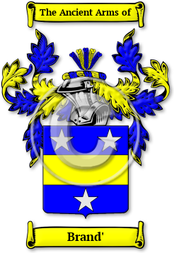Brand' Family Crest Download (JPG) Legacy Series - 600 DPI