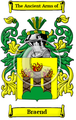 Continu Percentage Filosofisch Braend Name Meaning, Family History, Family Crest & Coats of Arms, German