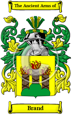 Brand Family Crest Download (JPG) Heritage Series - 600 DPI