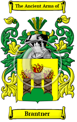Brantner Family Crest Download (JPG) Heritage Series - 600 DPI