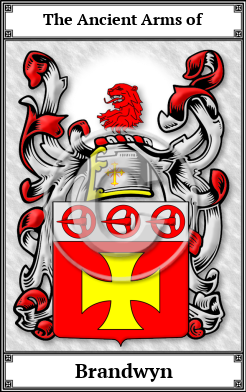 Brandwyn Family Crest Download (JPG) Book Plated - 600 DPI