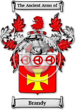 Brandy Family Crest Download (JPG) Legacy Series - 300 DPI