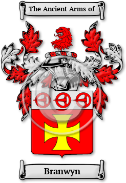 Branwyn Family Crest Download (jpg) Legacy Series - 150 DPI