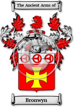 Bronwyn Family Crest Download (jpg) Legacy Series - 150 DPI