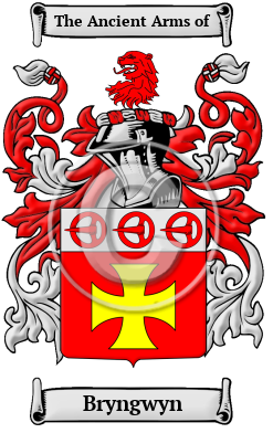 Bryngwyn Family Crest Download (JPG) Heritage Series - 600 DPI