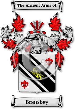 Bransbey Family Crest Download (jpg) Legacy Series - 150 DPI